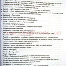 ManualFieldBotany_sample1