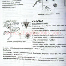 ManualFieldBotany_sample2