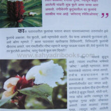 PushpaPatharKaas_sample2