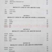 RockcuttemplesWesternIndia_I1