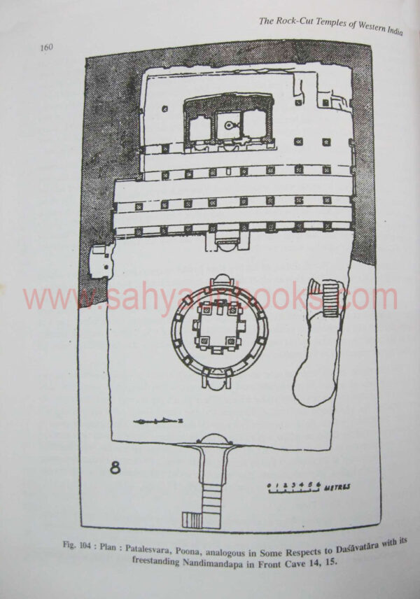 RockcuttemplesWesternIndia_sample1
