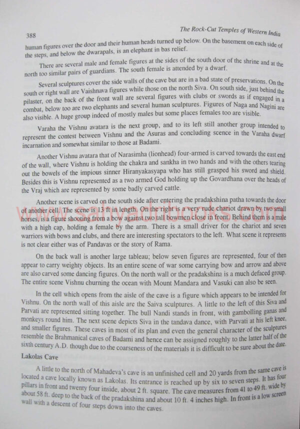 RockcuttemplesWesternIndia_sample2