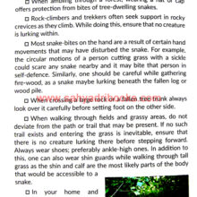 Snakes_Sample2 Snakes_Sample2