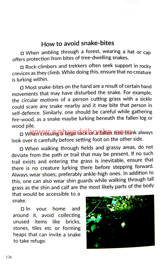 Snakes_Sample2 Snakes_Sample2