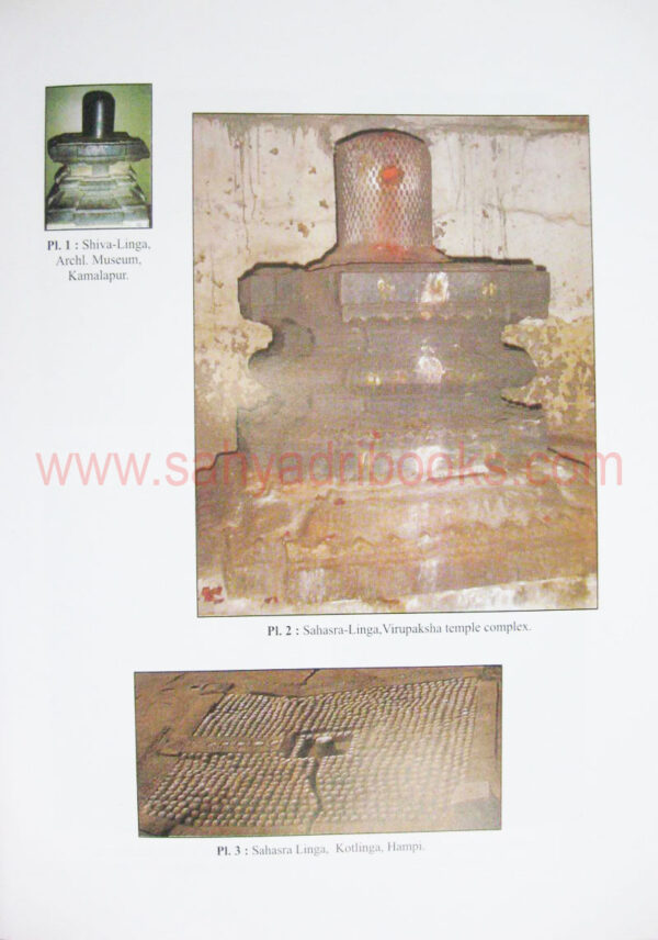 VijaynagarasculpturesHampi_sample VijaynagarasculpturesHampi_sample