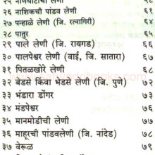 maharashtratil-leni-s-h-joshi_I1