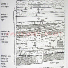 puratatvavidya_sample puratatvavidya_sample