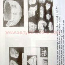 puratatvavidya_sample2 puratatvavidya_sample2