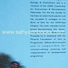 Butterflies-of-Goa_B