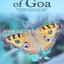 Butterflies-of-Goa_C