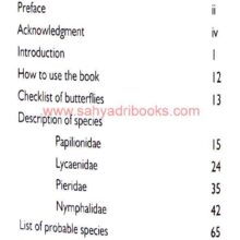 Butterflies-of-Goa_I