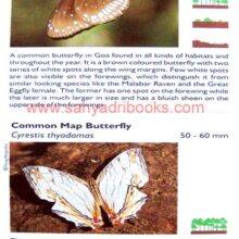 Butterflies-of-Goa_Sample2