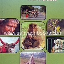 ChayaChitranchyaPalikade_C ChayaChitranchyaPalikade_C