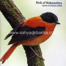 Checklists-Birds-of-India-Birds-of-Maharashtra_C