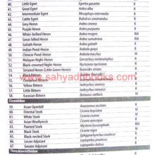 Checklists-Birds-of-India-Birds-of-Maharashtra_Sample