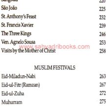 Feasts-Festivals-observances-of-Goa_I2