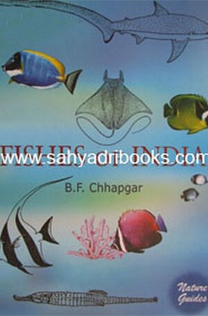 FishesofIndia_C