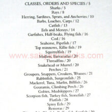 FishesofIndia_I FishesofIndia_I