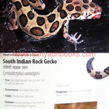 Reptiles-of-Northern-Western-Ghats_Sample1 Reptiles-of-Northern-Western-Ghats_Sample1