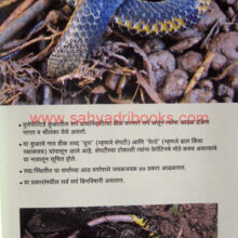 Sahyadritil-Sarpatnare-Prani_Sample