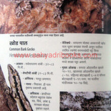 Sahyadritil-Sarpatnare-Prani_Sample2