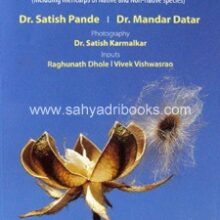 Seeds-of-Western-India_C Seeds-of-Western-India_C