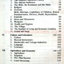 a-short-history-of-baglan_I1