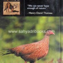 birds-of-lonavla-and-khandala_B