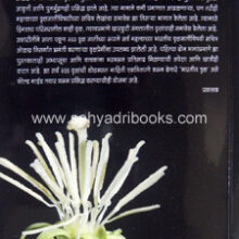 Anakhi-Kahi-Aplech-Vruksha_B Anakhi-Kahi-Aplech-Vruksha_B