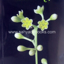 Anakhi-Kahi-Aplech-Vruksha_C Anakhi-Kahi-Aplech-Vruksha_C