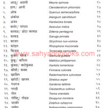 Anakhi-Kahi-Aplech-Vruksha_I Anakhi-Kahi-Aplech-Vruksha_I