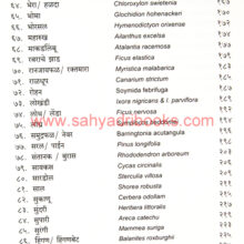 Anakhi-Kahi-Aplech-Vruksha_I2 Anakhi-Kahi-Aplech-Vruksha_I2