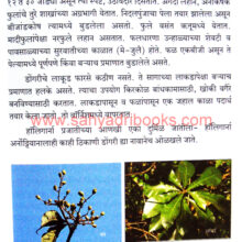 Anakhi-Kahi-Aplech-Vruksha_Sample2 Anakhi-Kahi-Aplech-Vruksha_Sample2