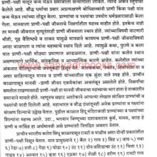 BISMQuarterlyVol81-82_Sample1