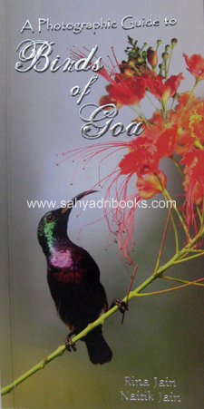 Birds-of-Goa_C