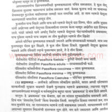 Kamal_Sample2 Kamal_Sample2