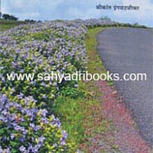 Nava-Aasamant_C Nava-Aasamant_C