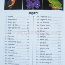 Nava-Aasamant_I Nava-Aasamant_I