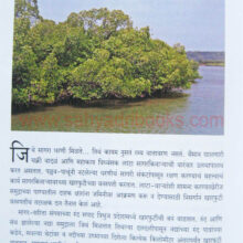 Nava-Aasamant_sample2 Nava-Aasamant_sample2