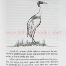 NavegaonBandhche-Diwas_sample2 NavegaonBandhche-Diwas_sample2