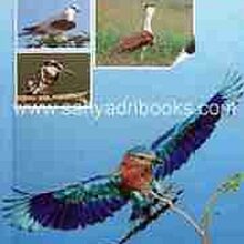 PakshiJagat_C PakshiJagat_C