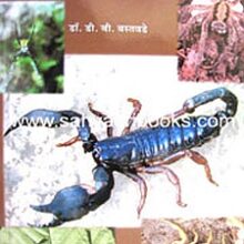 Vinchu-vargiya-Ashtapad_C