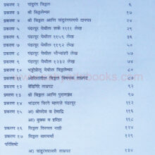 Vitthal-ani-Pandharpur_I Vitthal-ani-Pandharpur_I