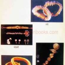 peshwyanchevilasijivan_sample