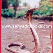 sarpayan_C sarpayan_C