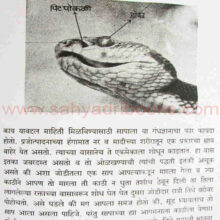 sarpayan_sample1 sarpayan_sample1