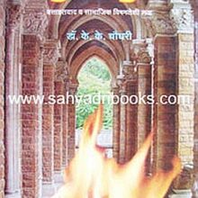 zunzar-pune_C zunzar-pune_C