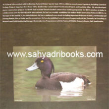 Ducks-geese-and-swans-of-India_B Ducks-geese-and-swans-of-India_B