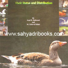 Ducks-geese-and-swans-of-India_C Ducks-geese-and-swans-of-India_C