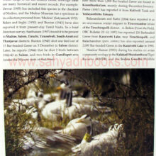 Ducks-geese-and-swans-of-India_sample Ducks-geese-and-swans-of-India_sample